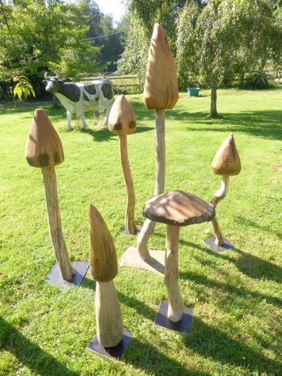 champignon d‘assemblages de différentes essences entre 90cm et 1.80m .